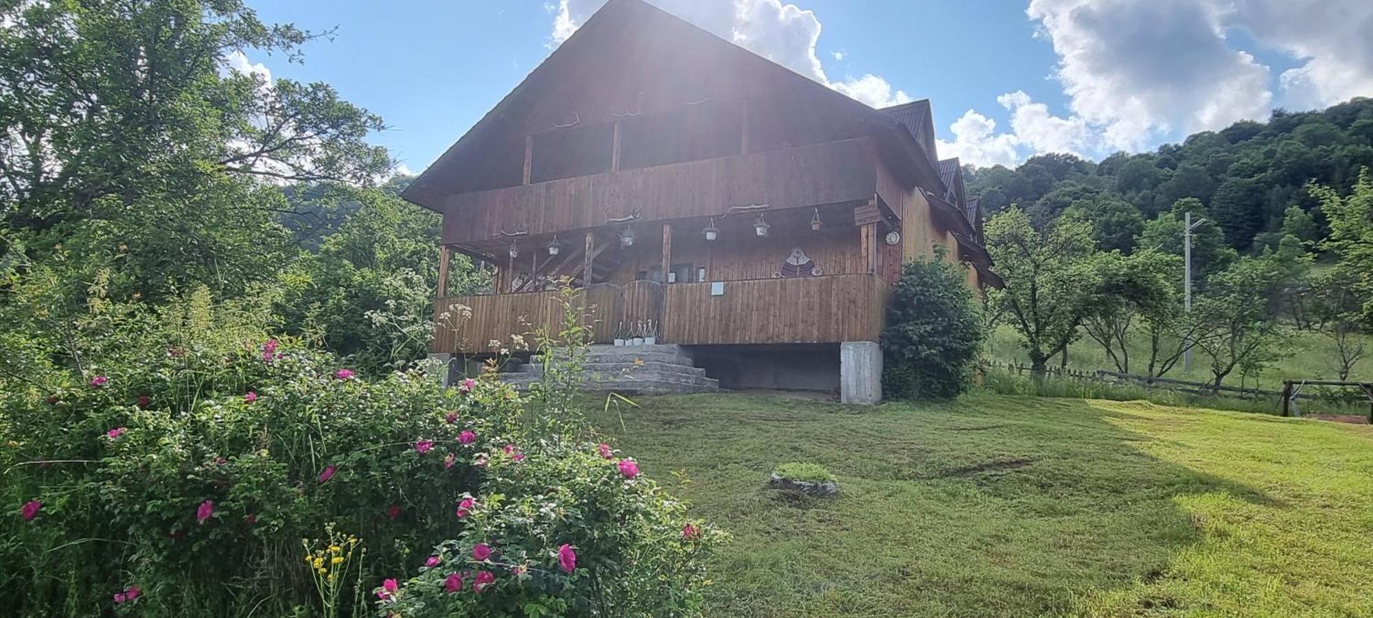 Cabana Suciu Villa Rachitele Bagian luar foto