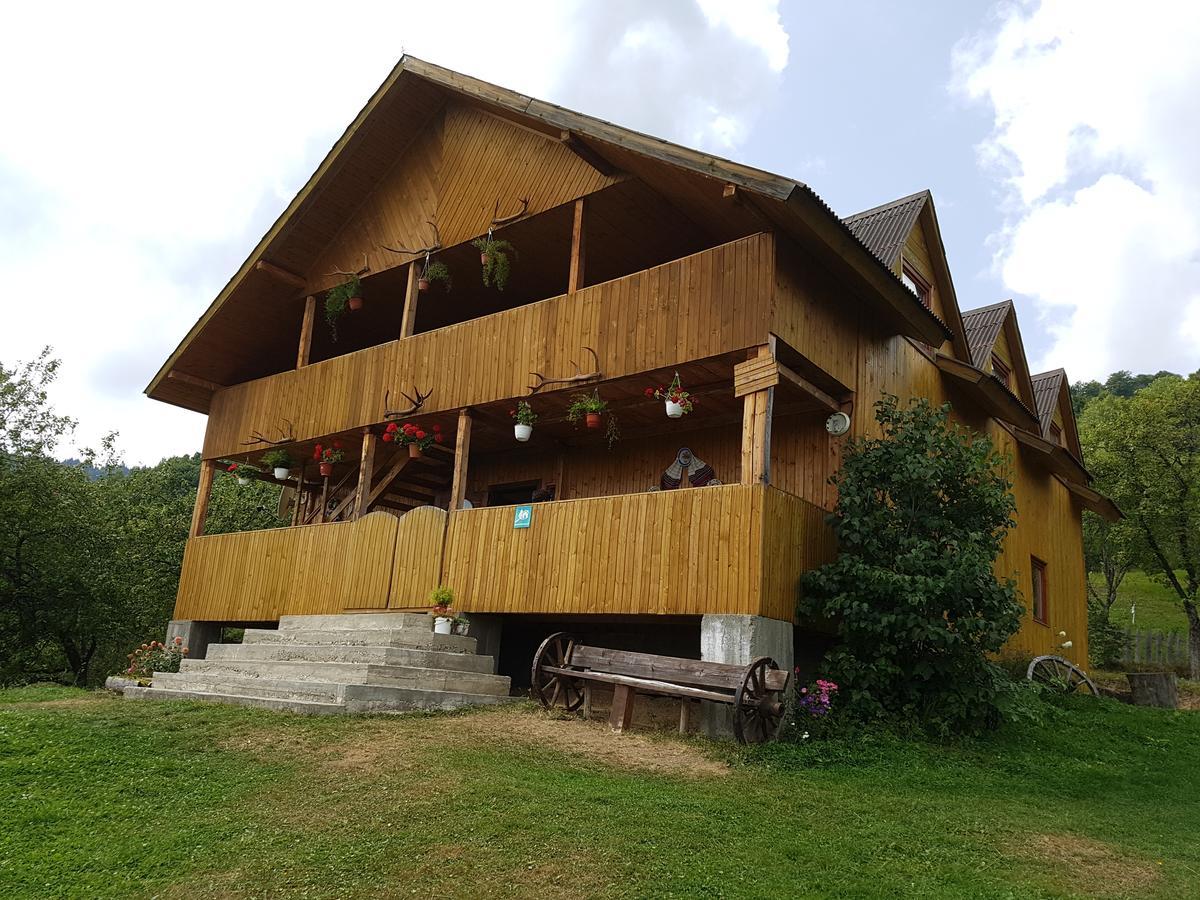 Cabana Suciu Villa Rachitele Bagian luar foto