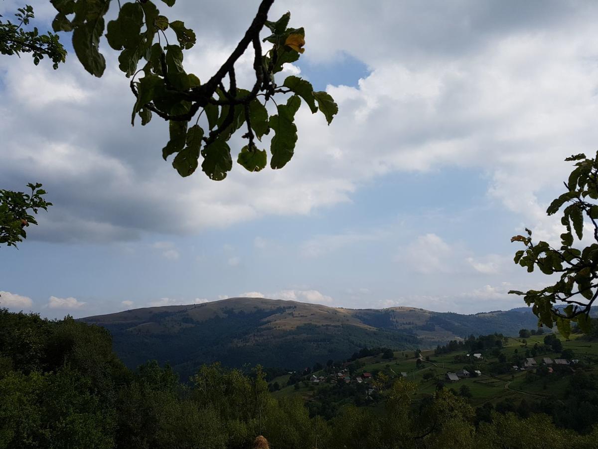 Cabana Suciu Villa Rachitele Bagian luar foto